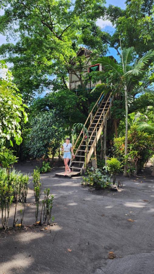 Tanna Volcano View Tree House Lenkuru Eksteriør billede